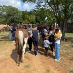 Group of people and children gathered around horses in a sunny outdoor paddock, with trees and a wooden fence in the background.
